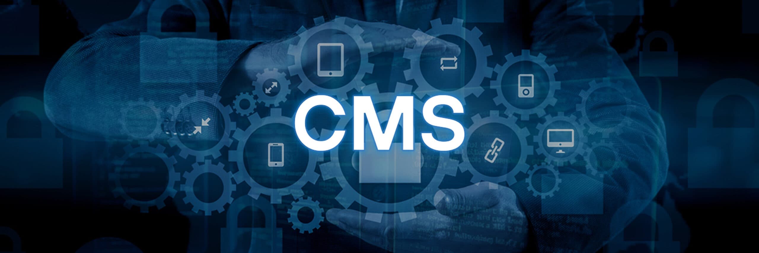 CMS Web Development Services in Dubai, UAE