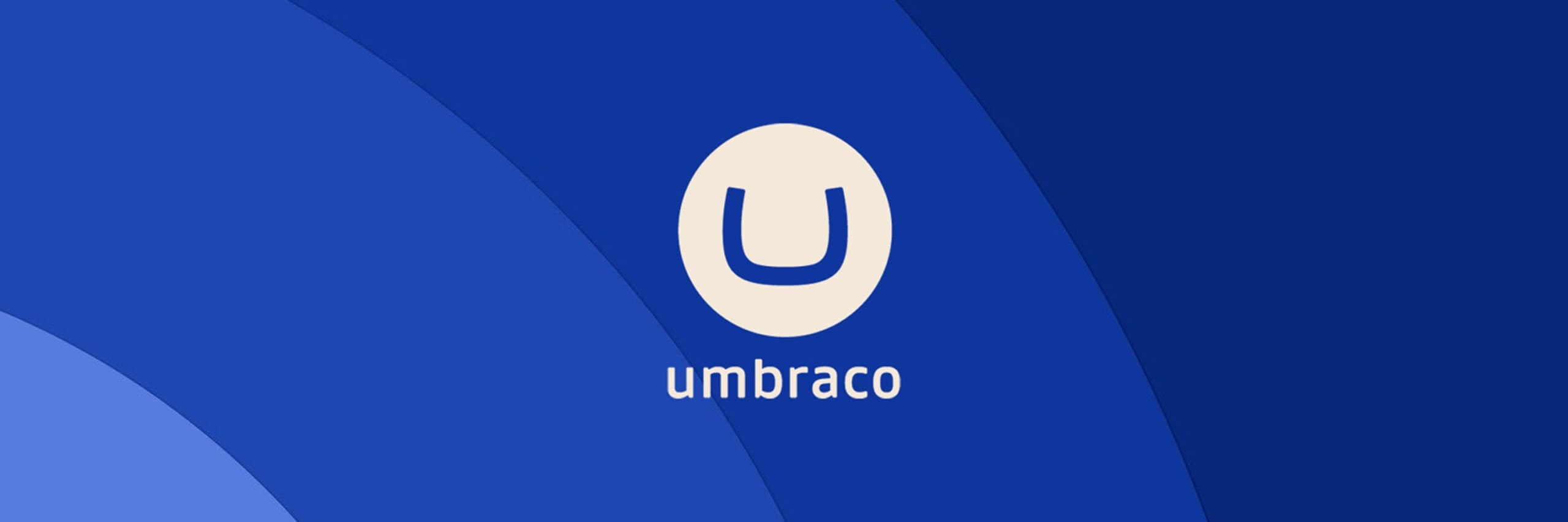 Umbraco Web Development Services Dubai, UAE
