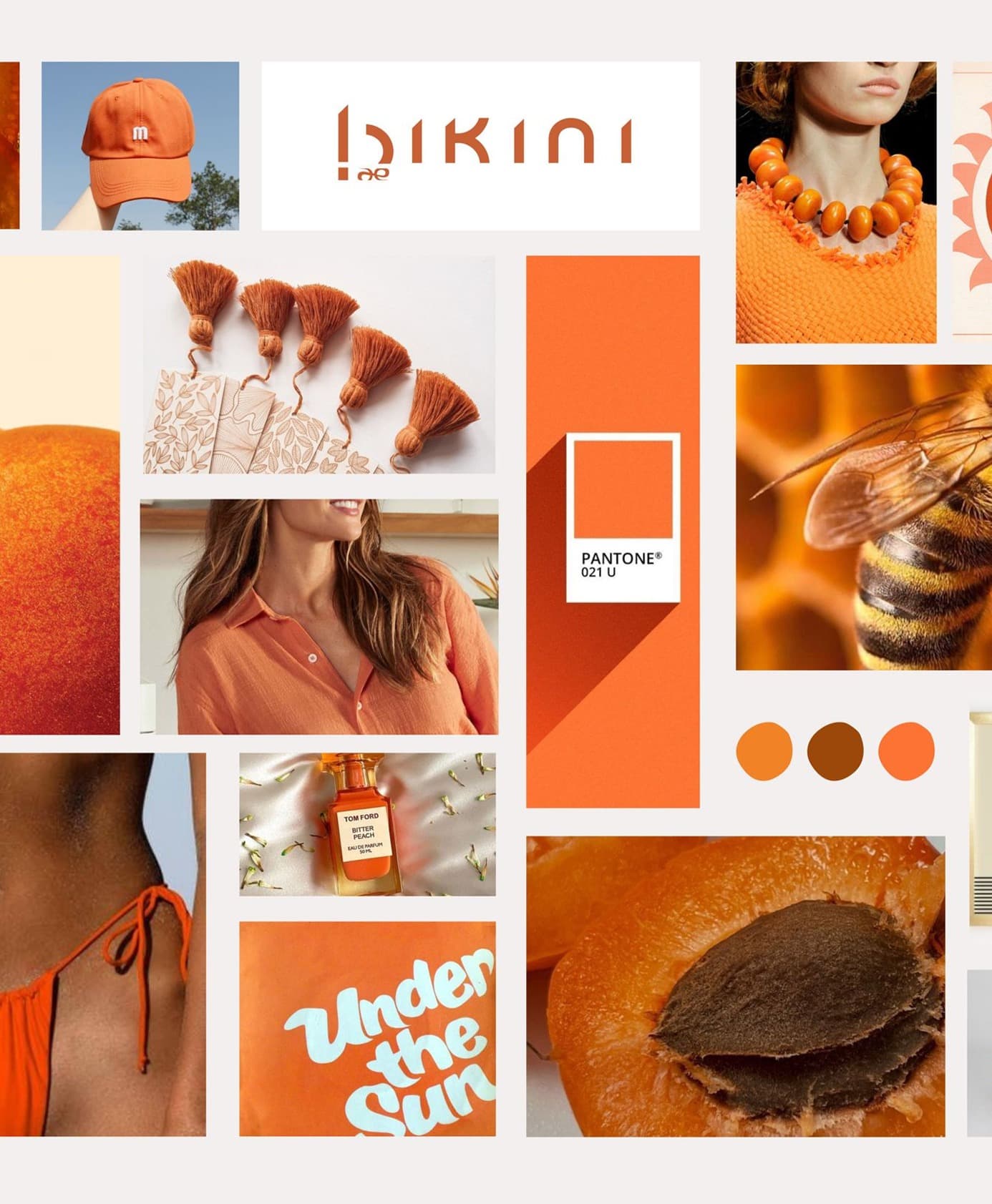 Visual Identity (Logo, Color Palette, Typography)