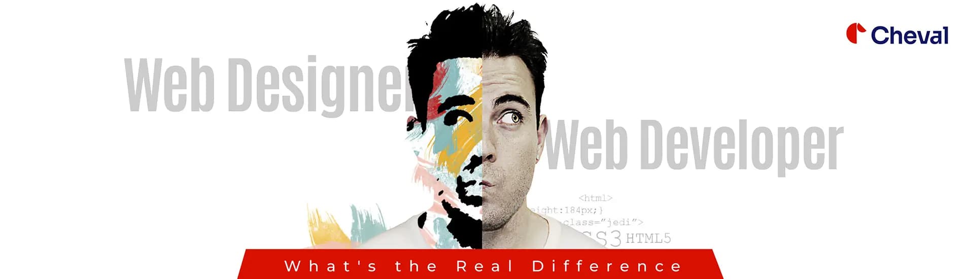 Web Designer vs Web Developer: What’s the Real Difference
